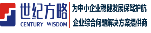 深圳世紀方略企業管理咨詢有限公司